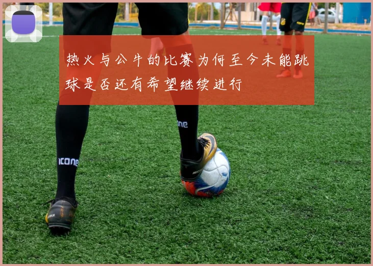 热火与公牛的比赛为何至今未能跳球是否还有希望继续进行