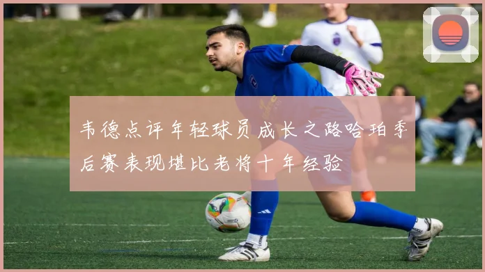 韦德点评年轻球员成长之路哈珀季后赛表现堪比老将十年经验