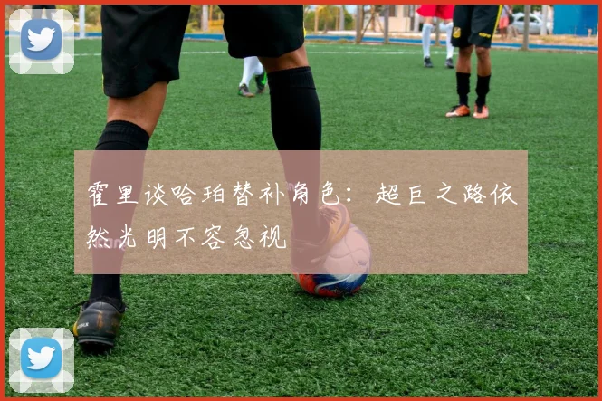 霍里谈哈珀替补角色：超巨之路依然光明不容忽视