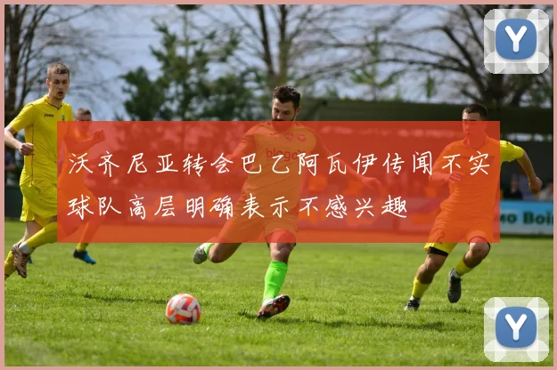 沃齐尼亚转会巴乙阿瓦伊传闻不实球队高层明确表示不感兴趣