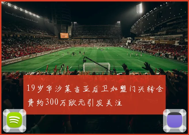 19岁华沙莱吉亚后卫加盟门兴转会费约300万欧元引发关注